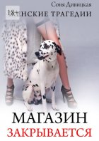 Магазин закрывается. Роман