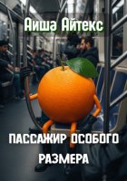 Пассажир особого размера