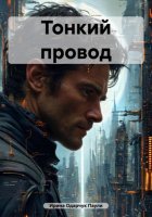 Тонкий провод