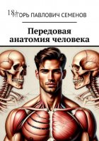 Передовая анатомия человека. Инновационные знания анатомии