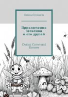 Приключения Зельчика и его друзей. Сказки Солнечной Поляны