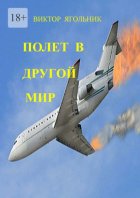 Полет в другой мир. Приключенческий роман