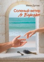 Соленый ветер Ле Баркарес