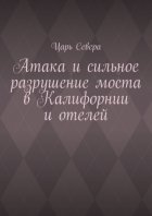 Атака и сильное разрушение моста в Калифорнии и отелей