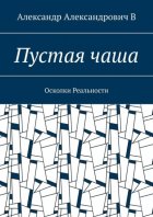Пустая чаша. Осколки Реальности