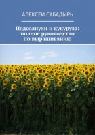 Подсолнухи и кукуруза: полное руководство по выращиванию