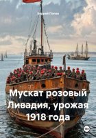 Мускат розовый Ливадия, урожая 1918 года