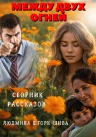 Между двух огней