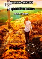 Дорогой жизни: путь к свету