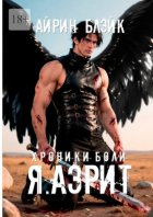 Хроники боли. Я. Аэрит
