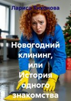 Новогодний клининг, или История одного знакомства