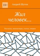 Жил человек… Рассказы, миниатюры, статьи, очерки