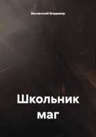 Школьник маг