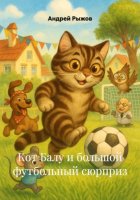 Кот Балу и большой футбольный сюрприз
