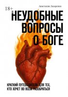 Неудобные вопросы о Боге. Краткий путеводитель для тех, кто хочет во всём разобраться