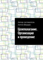 Целеполагание. Организация и проведение
