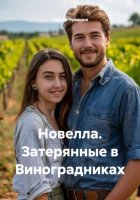 Новелла. Затерянные в Виноградниках