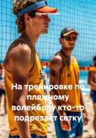 На тренировке по пляжному волейболу кто-то подрезает сетку
