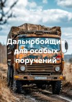 Дальнобойщик для особых поручений