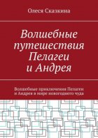 Волшебные путешествия Пелагеи и Андрея. Волшебные приключения Пелагеи и Андрея в мире новогоднего чуда