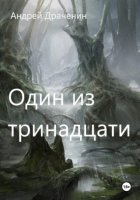 Один из тринадцати