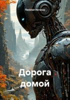 Дорога домой