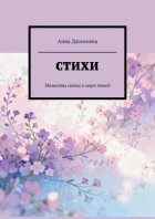 Стихи. Моменты света в мире теней