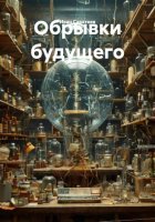 Обрывки будущего