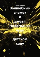 Волшебный снежок и друзья. Новогоднее чудо в детском саду
