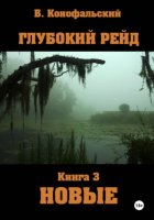 Глубокий рейд. Книга 3 НОВЫЕ