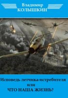 Исповедь летчика-истребителя…