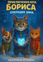 Приключения кота Бориса: Операция «Зима»