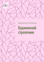 Буданинский стрелочник