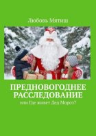 Предновогоднее расследование. или где живёт Дед Мороз?