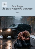 За семь часов до счастья. Книга 2