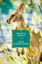 Звери в моей жизни. Путь кенгуренка. Поймайте мне колобуса. Поместье-зверинец