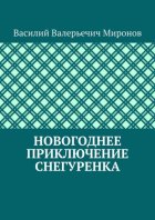 Новогоднее приключение Снегуренка