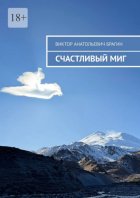 Счастливый миг