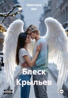 Блеск Крыльев