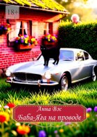 Баба-Яга на проводе