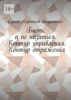 Быть, а не казаться. Контур управления. Контур отражения