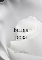 Белая роза