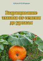 Выращивание тыквы от семени до урожая