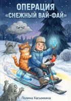 Операция «Снежный Вай-Фай»