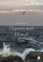 Первочужой Новый Год
