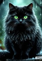 Страж Вечности: Неизвестная жизнь невесты Кощея. Следы на ледяной траве