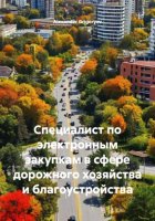 Специалист по электронным закупкам в сфере дорожного хозяйства и благоустройства