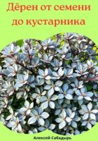 Дёрен от семени до кустарника