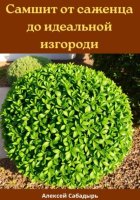 Самшит от саженца до идеальной изгороди
