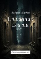 Странник жизни. Экзистенциальное эссе